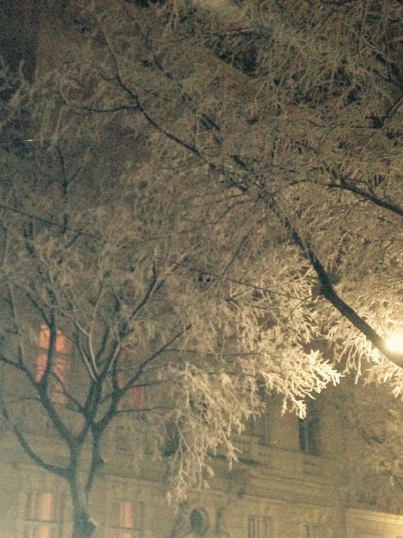 Charming Viennese * Wenen
